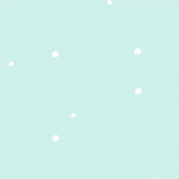 Mindshine Promo Christmas 2021