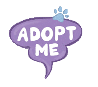 Cat Adopt Sticker