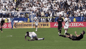 zlatan ibrahimovic goal GIF by Major League Soccer