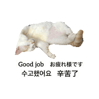 Cat Good Job Sticker