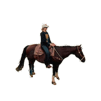 Cant Sit Still Sticker by Lainey Wilson
