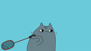 Comedy Central Cat GIF by CsaK
