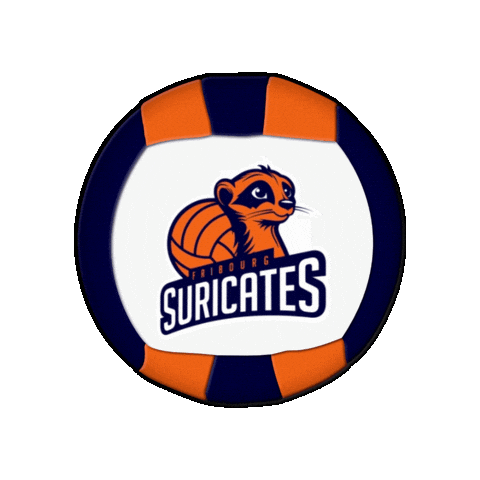 Club Ballon Sticker by Swiss Dodgeball