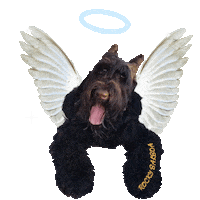Angel Dog Rip Sticker