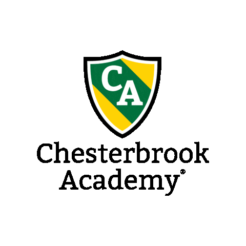 Cba Sticker by Spring Edu Group