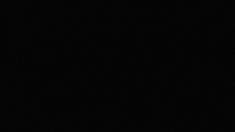 college sports ncaa GIF