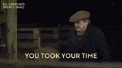 Waiting GIF by All Creatures Great And Small