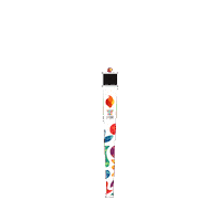 antorcha olimpica de la juventud Sticker by Buenos Aires 2018