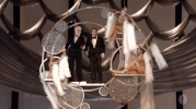 alec baldwin oscars GIF by The Academy Awards