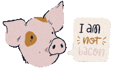 Vegan Pig Sticker