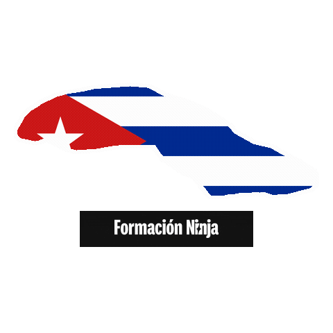 Flag Bandera Sticker by Formación Ninja