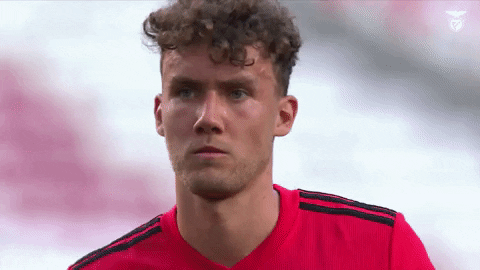 Sl Benfica Slbgif GIF by Sport Lisboa e Benfica