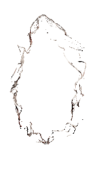 Motion Selfie Sticker by X.H. Aqeel