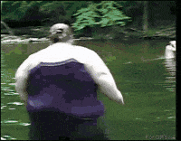 GIF by Silwale