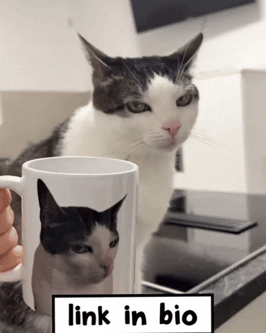 Monkeycatluna GIF