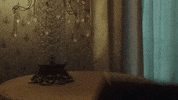 Oh My God Reaction GIF by Manchester Orchestra
