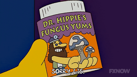 Episode 17 Book GIF by The Simpsons