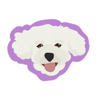 Dog Poodle Sticker
