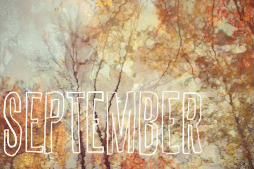September 1 GIF by memecandy