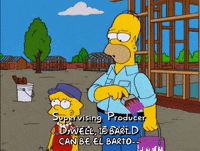 homer simpson GIF