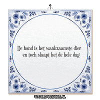 Nl Wijsheid Sticker by Tegelspreuken.nl