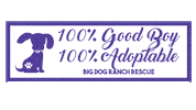 Good Boy Sticker by Big Dog Ranch Rescue