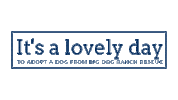 Lovely Day Adopt Dont Shop Sticker by Big Dog Ranch Rescue