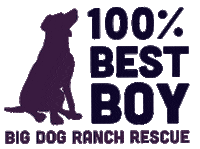 Adopted Dog Sticker by Big Dog Ranch Rescue