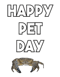 Pet Sticker by Sealed With A GIF