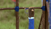 survivorau GIF by Australian Survivor