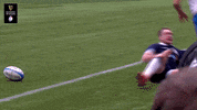 Awesome 6 Nations GIF by Guinness Six Nations