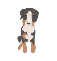 Dog Sticker