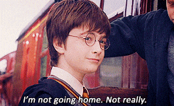 Harry Potter Home GIF