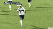 usl soccer goal 2019 captain GIF