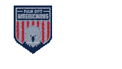 Womens Soccer Football Sticker by USL