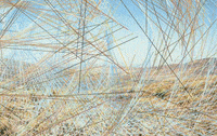 antelope valley processing GIF by Adam Ferriss