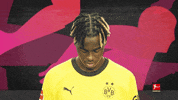 Posing Borussia Dortmund GIF by Bundesliga