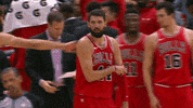 robin lopez expression GIF by NBA