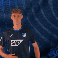 Sport Logo GIF by TSG Hoffenheim