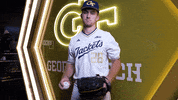 Georgia Tech Baseball GIF by Georgia Tech Yellow Jackets