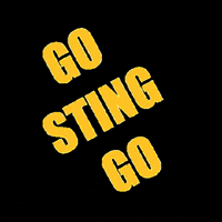 SarniaSting sting ohl sarnia sarniasting GIF