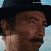 Excuse Me Hello GIF by Arrow Video