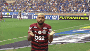 gol futebol flamengo libras gabigol GIF
