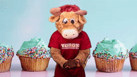 Birthday Celebrate GIF by CSUDHTeddyToro