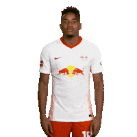 Posing Line Up Sticker by Bundesliga