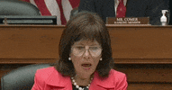 House Of Representatives GIF by GIPHY News