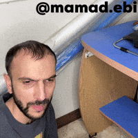 Mamadebi GIF