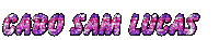 Samibug Sticker by NIC