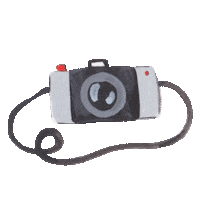 Travel Photography Sticker