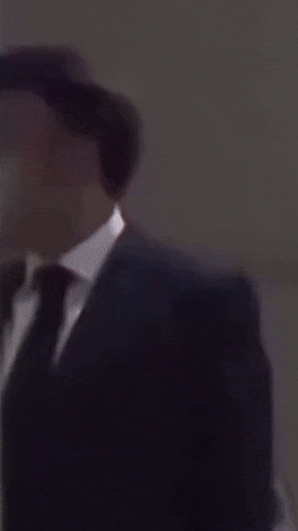 Macron GIF by systaime